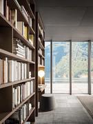 Aliant collection: custom-made luxury bookcases and wall units