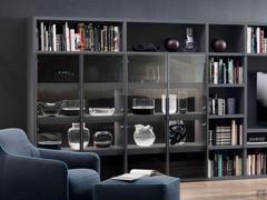 Aliant wall unit with display case and concealed TV compartment