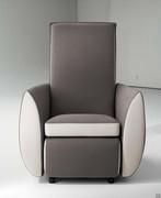 Dalia electric recliner riser armchair  - available in bi-colour versions