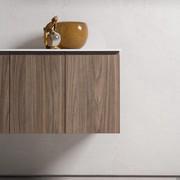 Base unit with 2 doors in a wood-effect finish (222 Gif)