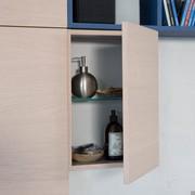 Hinged wall unit with internal glass shelf