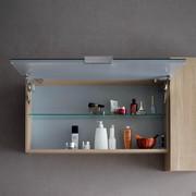 Swing storage mirror with flap door and clear glass shelf