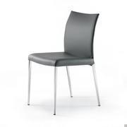 Anna chair with wavy backrest by Cattelan, with contrasting legs