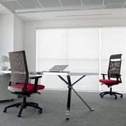 Task and executive chair with mesh backrest Expo Light in the original two-tone version