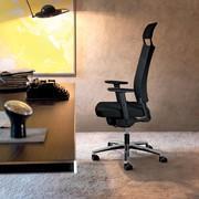 Executive chair with mesh backrest Expo Light and flexible headrest upholstered to match the seat