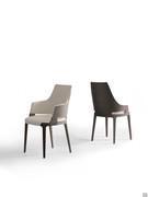 Velis in the chair and armchair version h.87 with wooden backrest 