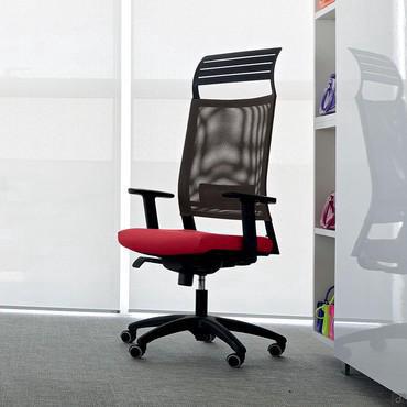 Mesh-backed executive chair Expo Light complete with flexible polypropylene headrest