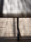 Detail of the natural grain and bevelled profile of the solid ash wood top