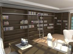 Special Project 04 - View of study area