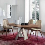 Eliseo table with walnut table top