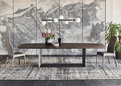 Dragon by Cattelan dining table with wooden top 