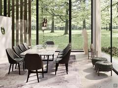 Elegant dining room with table Dart for 10 people