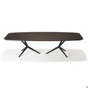 Atlantis design dining table with wooden top