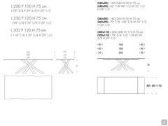 Table Style - irregular rectangular top size - rectangular extendable