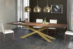 Spyder rectangular table with irregular edges by Cattelan