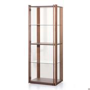 Karin showcase with single door in natural glass