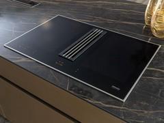 Induction cooktop with integrated hood