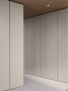 Closet Zenit Lounge with full-height B5 groove and lacquered doors with 10:10 processing