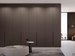 Closet Zenit Lounge matte lacquered with folding doors