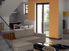 Project for house with open space - render