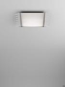 Rectangular ceiling lamp (80 x 42 cm)