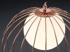 Detail of the metal cage and lampshade