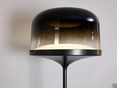 Elegant shade of blown glass dome shade in a fumè finish