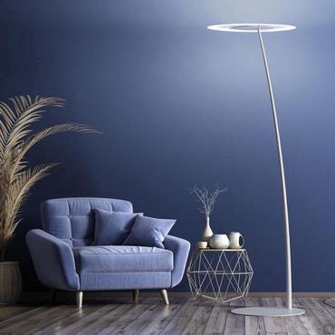 Antigua Curved Floor Lamp