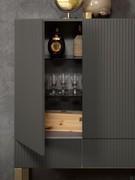 Interior view of the T77 alpha melamine cupboard with movable smoked glass shelves