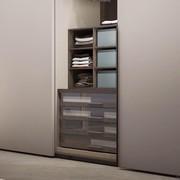 Player wardrobe interior fittings - chest of drawers with 4 drawers with glass fronts and raster shirt rack with 6 compartments