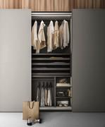 Player wardrobe interior fittings - chest of drawers with 4 pull out trays and a dividing element with 2 shelves