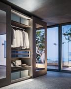 Player wardrobe interior fittings - hanging chest of drawers with 2 glass drawers and one additional shelf