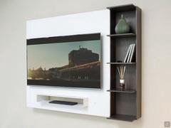 Smart wall mounted tv panel with DVD rack