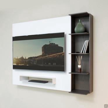 Smart wall mounted tv panel with DVD rack