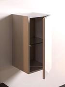 High and thin wall unit with hinged door, inside we can fine a dividing shelf