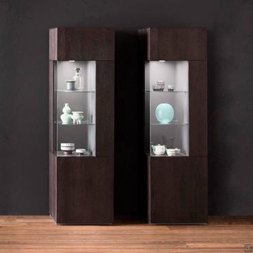 Vitrine  à une porte avec éclairage LED Start. Porte et structure en chêne brossé Fashion Wood Terre