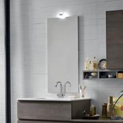 Specchio per bagno con luce applicata Wap cm 50 h.105 con faretto Point