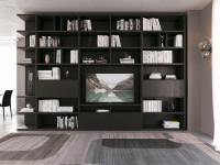 Wall unit with bookcase and TV unit