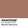 Locandina con il nuovo colore Pantone dell'anno 2025, il Mocha Mousse 17-1230